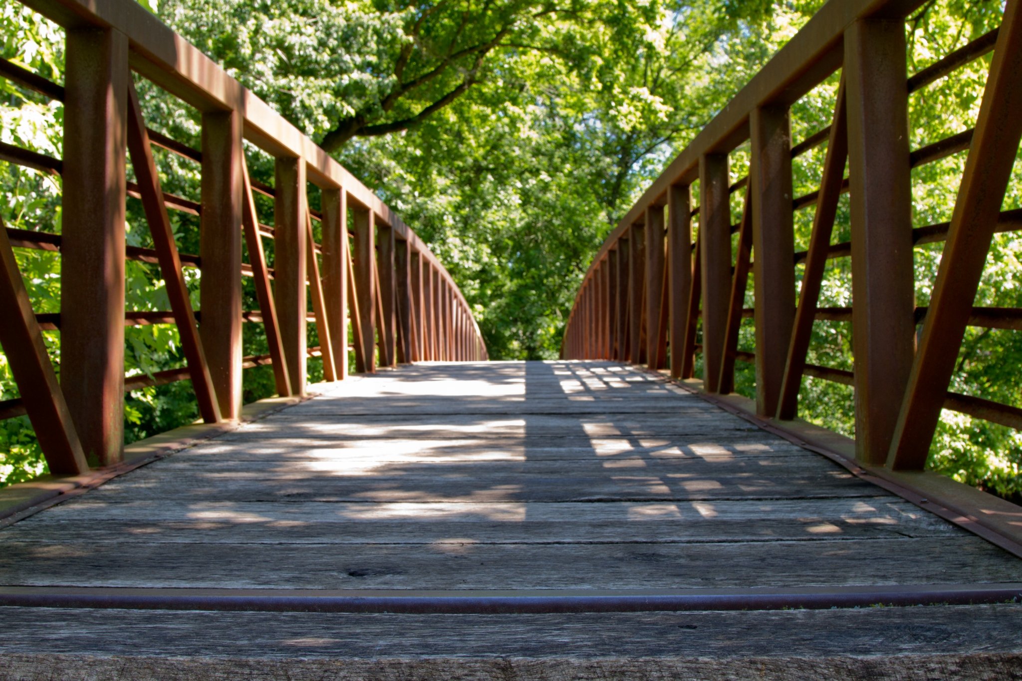 🎉 Announcing the 2026 Phyllis Lieberman Women’s Trailblazer Scholarship Recipients