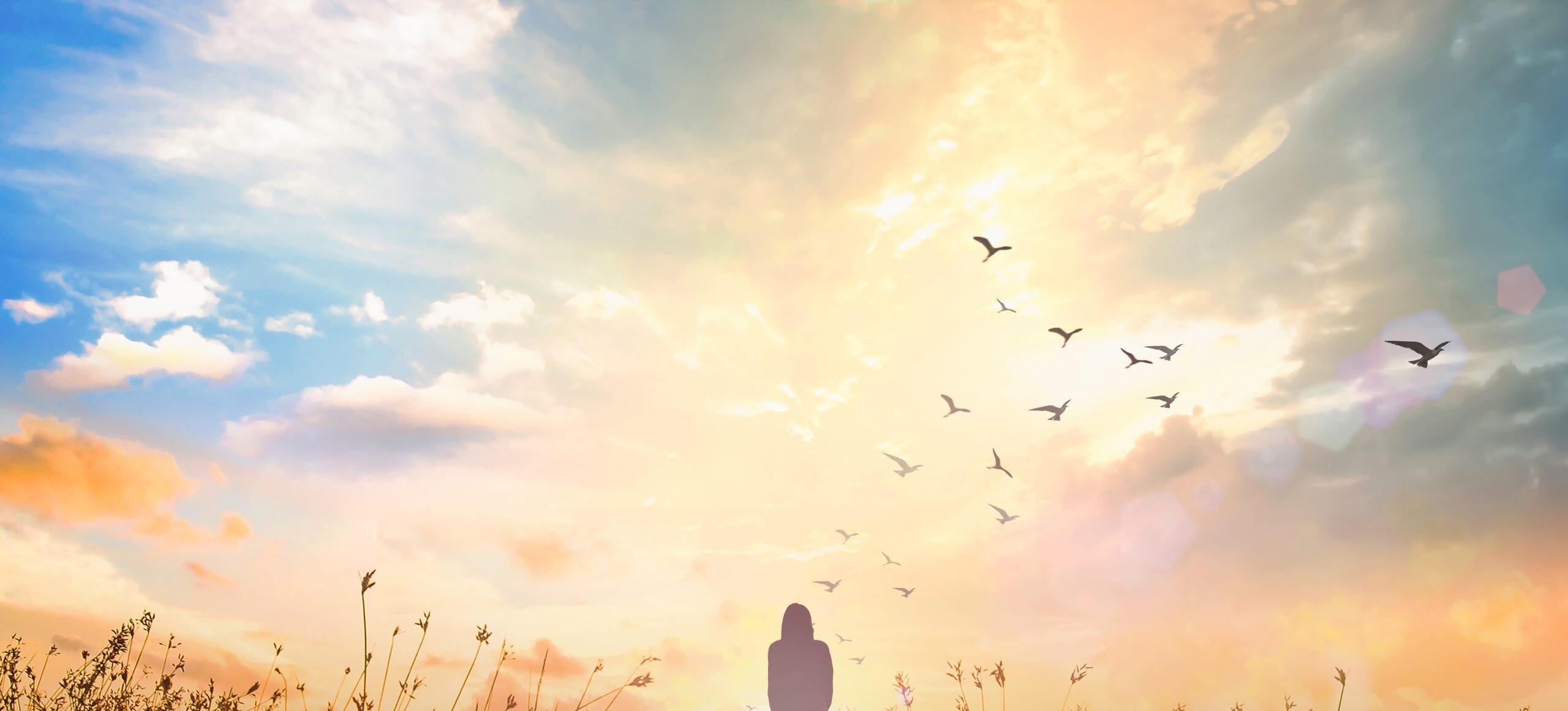 Supporting Mental Health Awareness Month with Free, Accessible Resources
